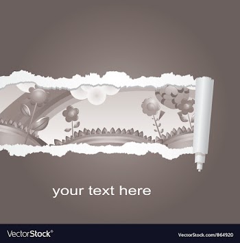 Torn spring background vector image