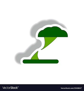 Tornado hurracian disaster twister vector image