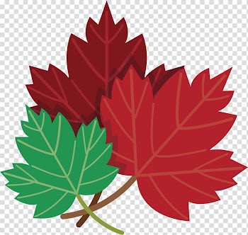 Toronto Maple Leafs, Leaf material transparent background PNG clipart