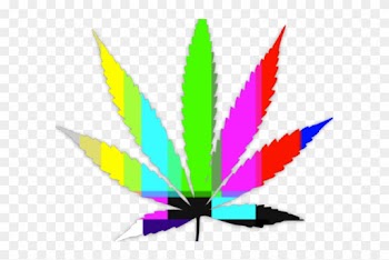 Toronto Maple Leafs Marijuana