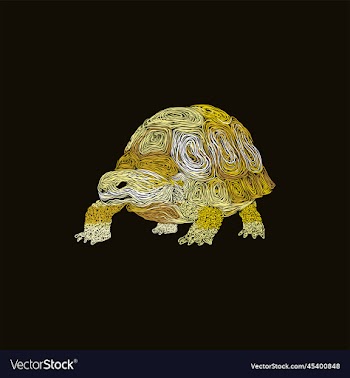 tortoise animal artwork style design