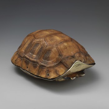 Tortoise box | Free Photo - rawpixel