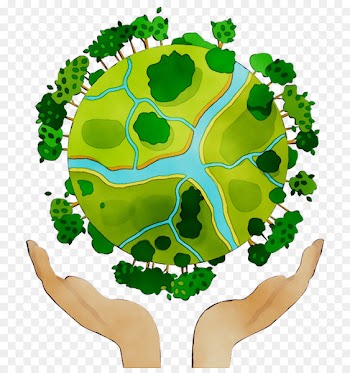 Tortoise Human behavior Product Clip art -  