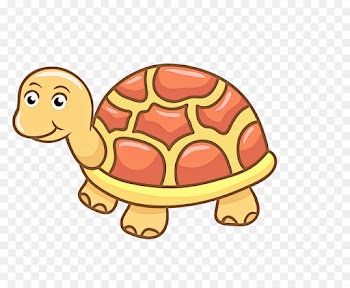tortoise turtle cartoon reptile pond turtle