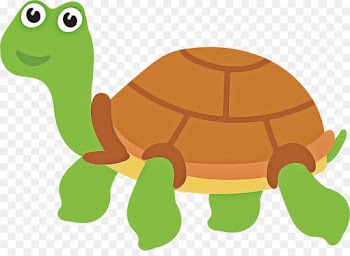 tortoise turtle green clip art cartoon