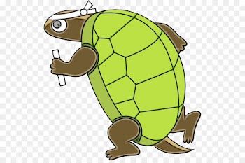 tortoise turtle pond turtle sea turtle clip art