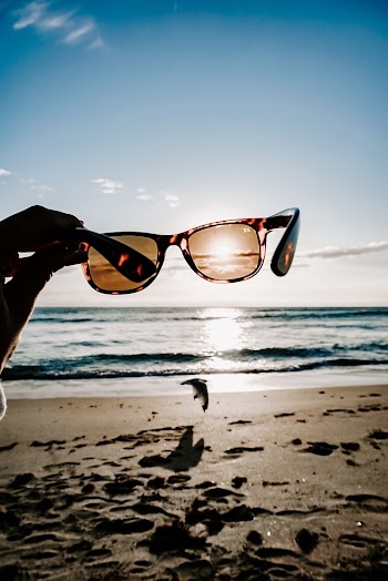 Tortoiseshell Framed Sunglasses