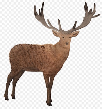 Tote bag Deer Mug Gift -  