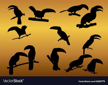 toucan bird animal silhouettes