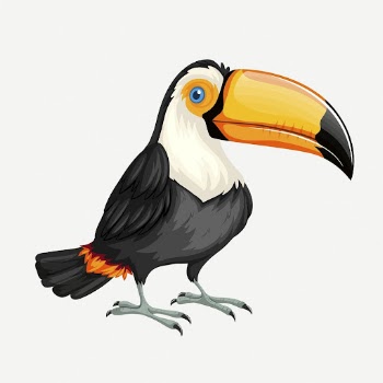 Toucan bird clipart, collage element | Free PSD - rawpixel