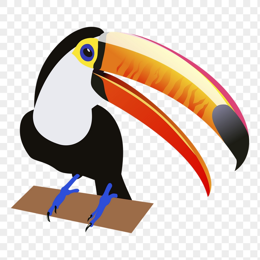Toucan bird png sticker wild | Free PNG - rawpixel