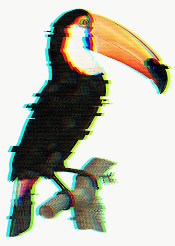 Toucan bird with glitch effect design element  | Free  transparent png - 2359208