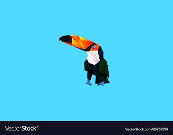 Toucan vector image