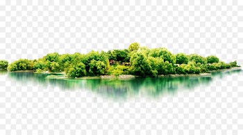 Tourism Gratis Fundal - Jungle woods 