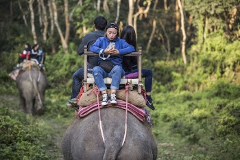 Tourists on elephant ride, Sauraha, | Free Photo - rawpixel