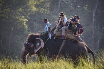 Tourists on elephant ride, Sauraha, | Free Photo - rawpixel