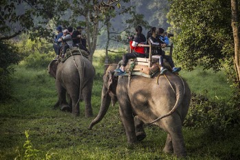 Tourists on elephant ride, Sauraha, | Free Photo - rawpixel