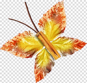 À Tous Les Échos Autumn Summer, others transparent background PNG clipart