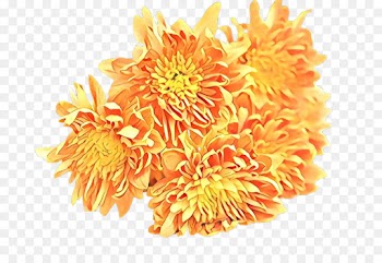 Towel, Microfiber, Textile, Flower, Orange PNG