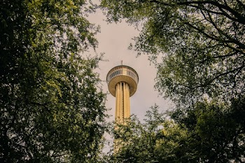 Tower Building and Trees