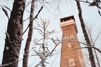 tower in forest