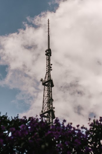 Tower Near Trees
