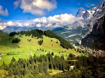 Town in Mountain With Green Trees