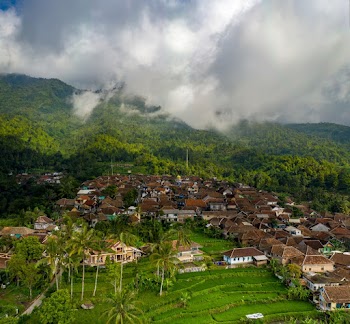 Town Surrounded by Trees