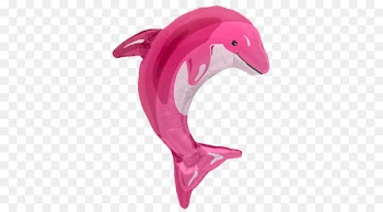Toy balloon Party Birthday Amazon river dolphin - balloon 
