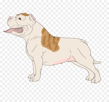 Toy Bulldog Dog breed Puppy Illustration - puppy 