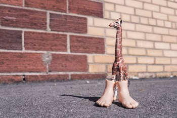 Toy Giraffe Fake Feet Free Photo 