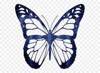 TP Legal Ltd Solicitors Kleurplaat Butterflies and moths Animation Child - blue butterfly 