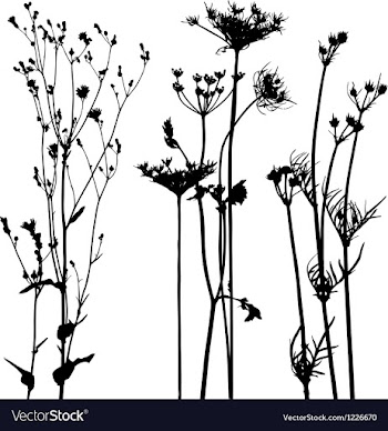  					Traced plants and weeds collection for designers vector image														