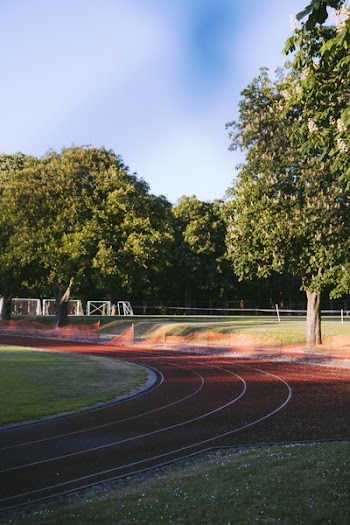 Track Field With Trees