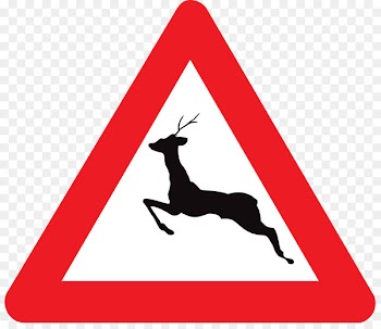 Traffic sign Bidirectional traffic Senyal -  