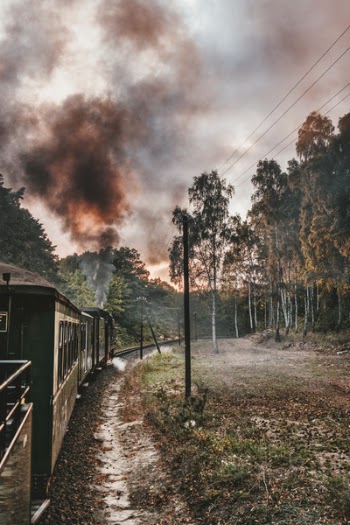 Train at the Railway