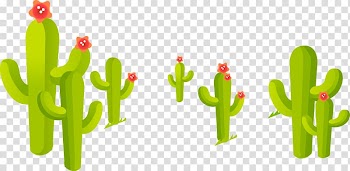Train Cactaceae Cartoon, Fresh cactus transparent background PNG clipart