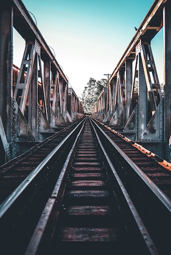 Train Rail Leading to Trees