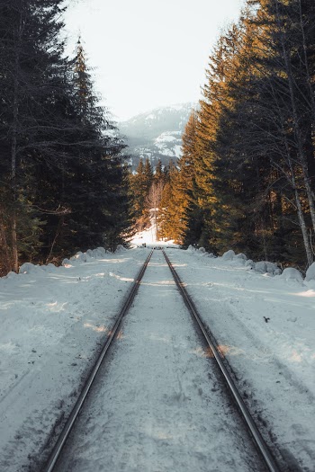 Train Rails