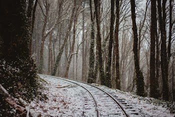 Train Railway In A Forest 
