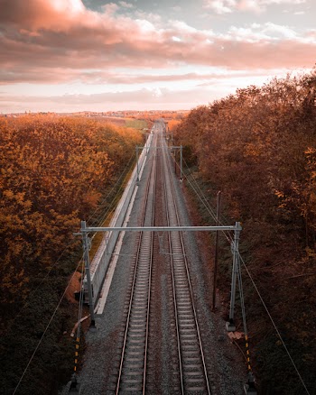 Train Track Between Dried Forest