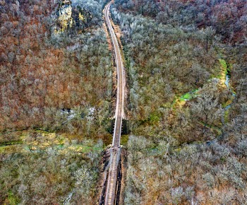 Train Track Between Green Trees Aerial Photography