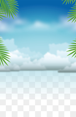 Training png free download - Summer Palm Tree - Swimming training ...