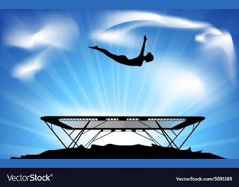Trampoline vector image