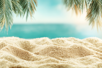 Tranquil Beach Sand with Tropical Fronds