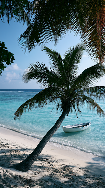 Tranquil Beach Scene by the Indian Ocean
