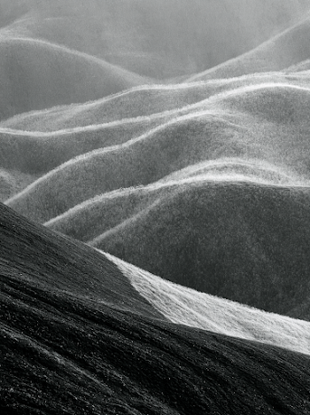 Tranquil Black and White Abstract Landscape