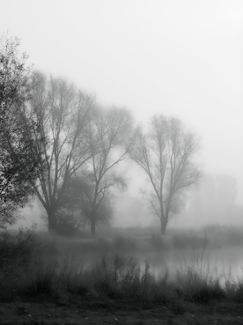 Tranquil Black and White Atmospheric Landscape