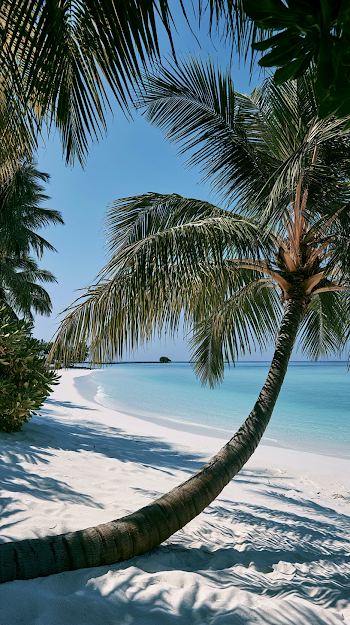 Tranquil Indian Ocean Beach View