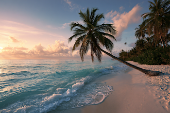 Tranquil Tropical Beach at Sunset
